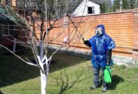 градинско лечение