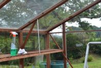 Обработка на оранжерии през есента от вредители и болести