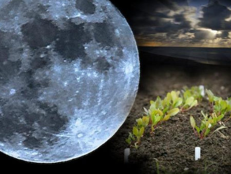 Sodininkų sodininkų mėnulio kalendorius 2017 m., Lentelė