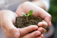 Lịch gieo hạt cho cây con năm 2017, bảng