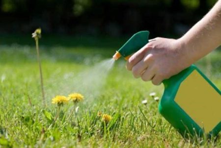herbicide treatment
