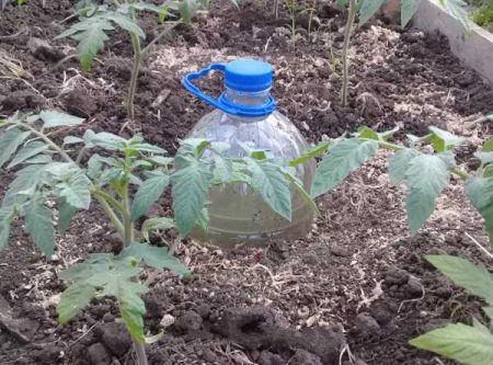 капково напояване от пластмасови бутилки