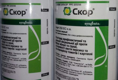 Очаквайте скоро