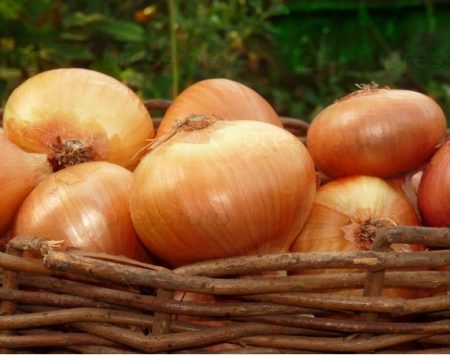 Hành tây trong một cái giỏ