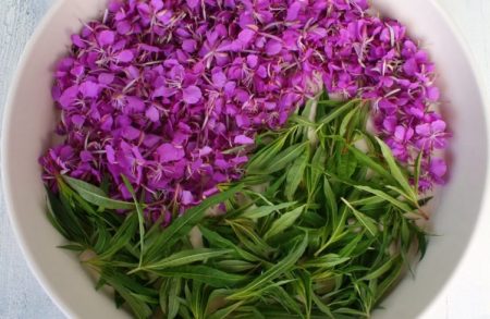 preparació per assecar-se