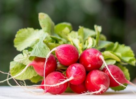 tepant soda ridikėliais