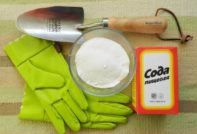 градинска сода