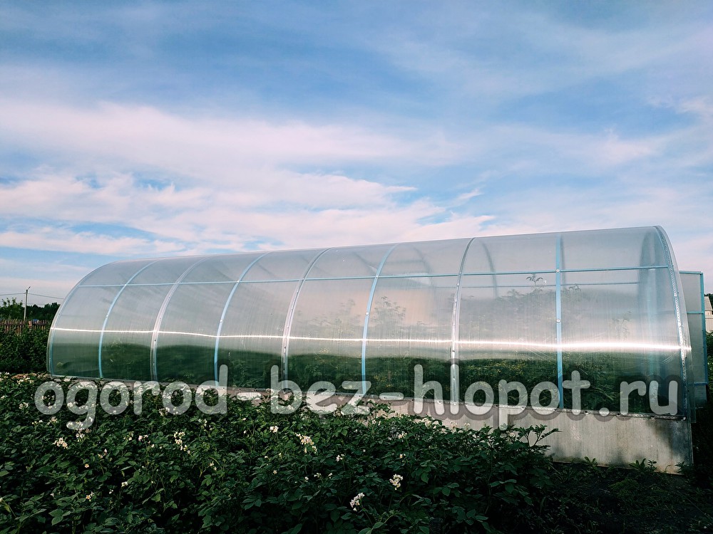 8 ideas for making money in the garden