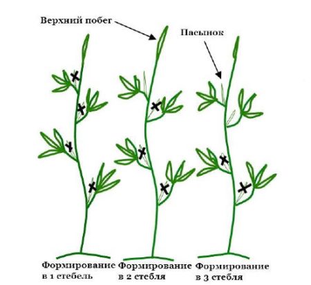 תצורת חצילים