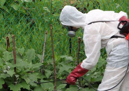 Mėlynasis apdorojimas