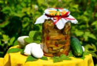 краставица реколта