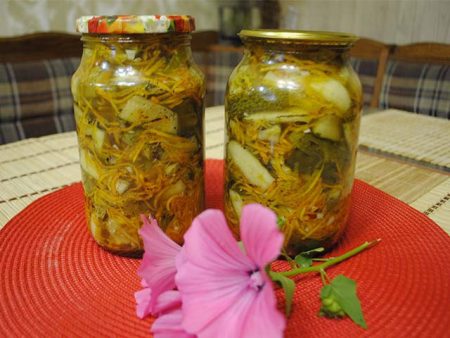 Запазване на зимата