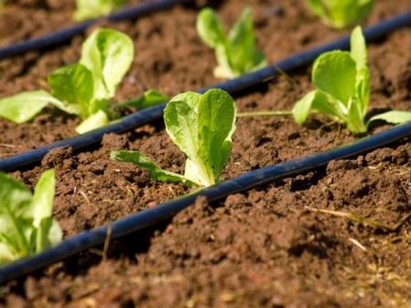 капково напояване