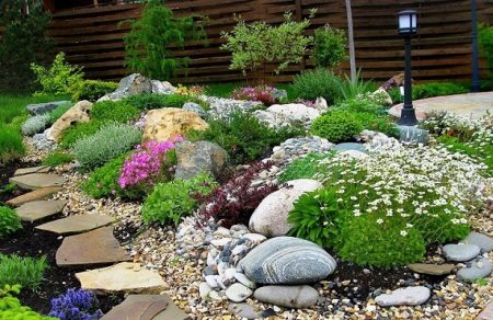 verschillende rassen