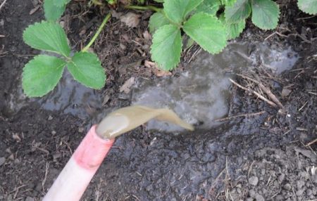 Горна превръзка