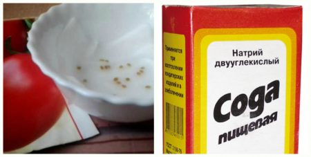 Накисване на семена в сода