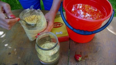 готварска горчица