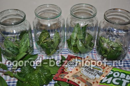 Prieskoniai stiklainiuose