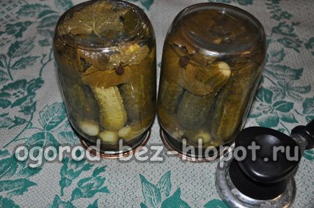 Bankai aukštyn kojom