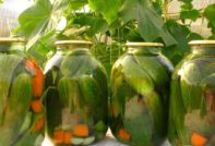 cucumbers in jars, simple recipes