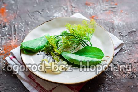 Rau xanh cho thu hoạch