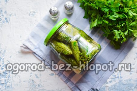 Dưa chuột sẵn sàng