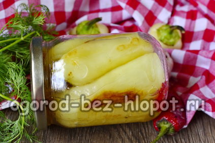 bell pepper for the winter