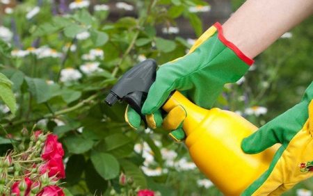 листна превръзка