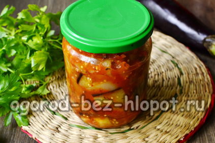 eggplant vegetable stew