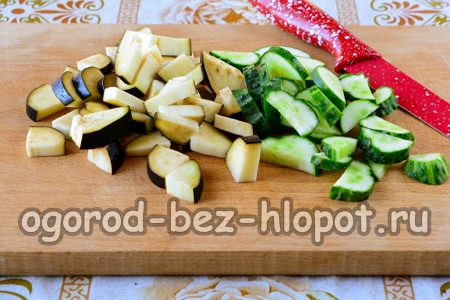 Baklažanai ir agurkai