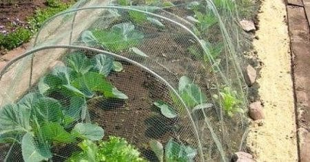 мрежа от зеле