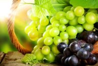 Виноград Павловского