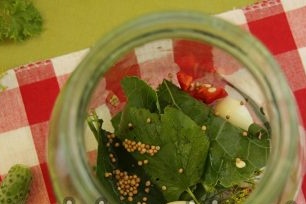 prieskoniai ir žolelės į stiklainį