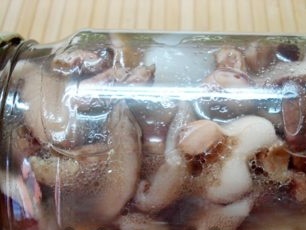 cuộn lên có thể