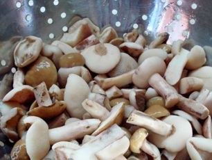 bơ trong một cái chao