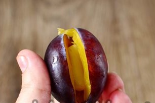 loại bỏ xương từ cống