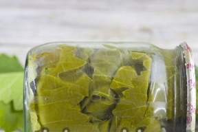 краставици в гроздови листа