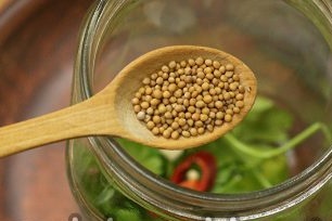 семена от горчица