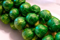 сорта-brusselskoy-kapustu