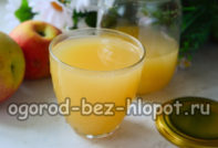 Æblesaft til vinteren