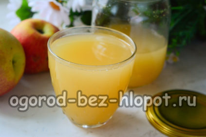 Obuolių sultys žiemai