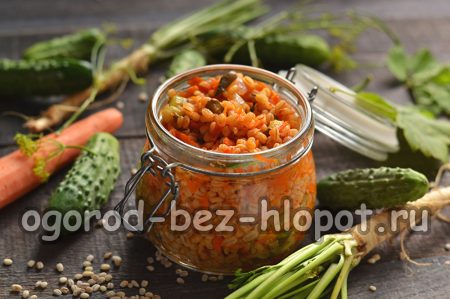 Marinuoti marinuoti agurkai iš šviežių agurkų su miežiais