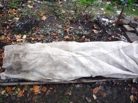 Nơi trú ẩn cho mùa đông