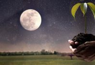 Календар за кацане за ноември 2018 г.