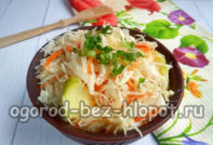 кисело зеле