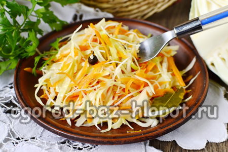 rauginti kopūstai su prieskoniais