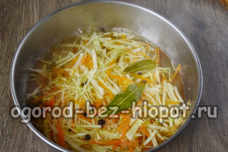 užpilkite kopūstus