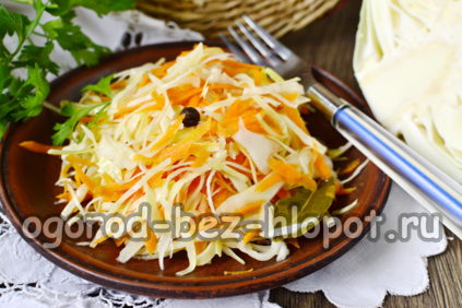 momentiniai rauginti kopūstai su prieskoniais