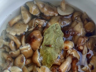 thêm lá nguyệt quế và đinh hương