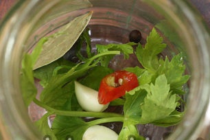 תבלינים בצנצנת